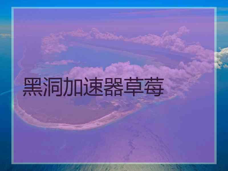 黑洞加速器草莓