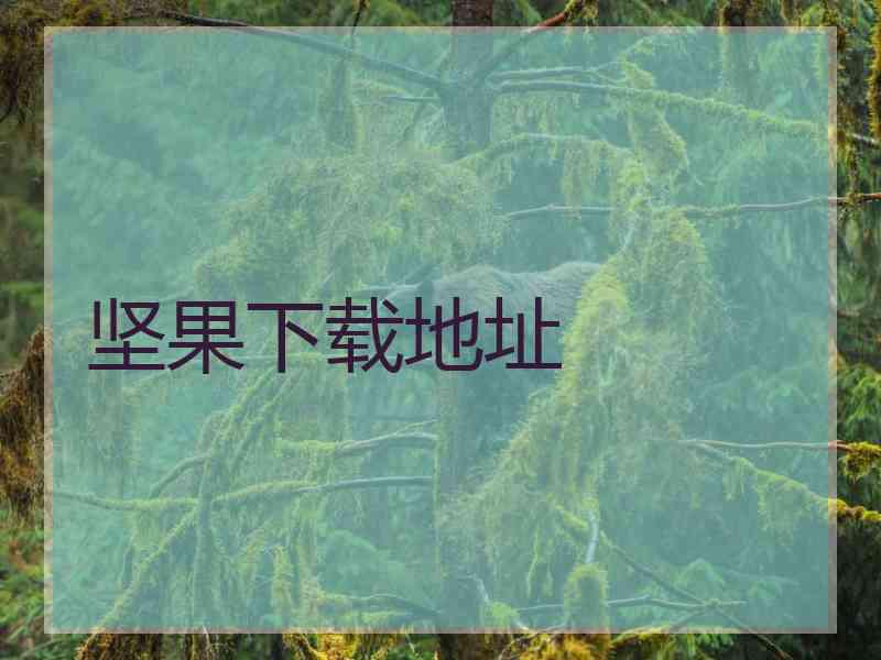 坚果下载地址