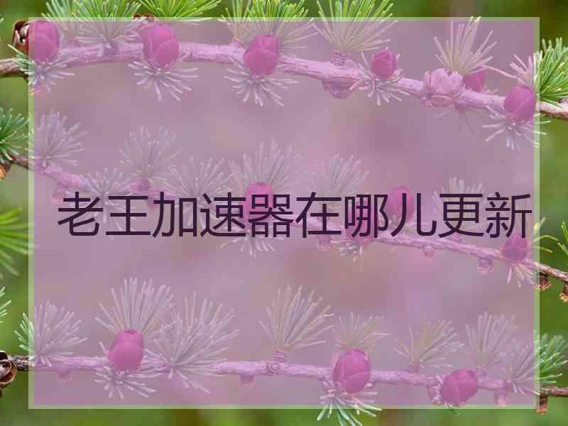 老王加速器在哪儿更新