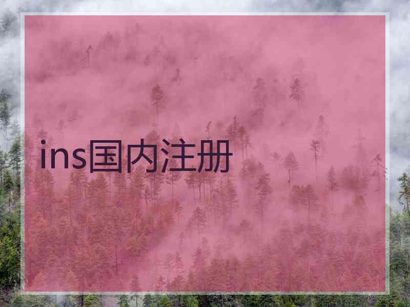ins国内注册