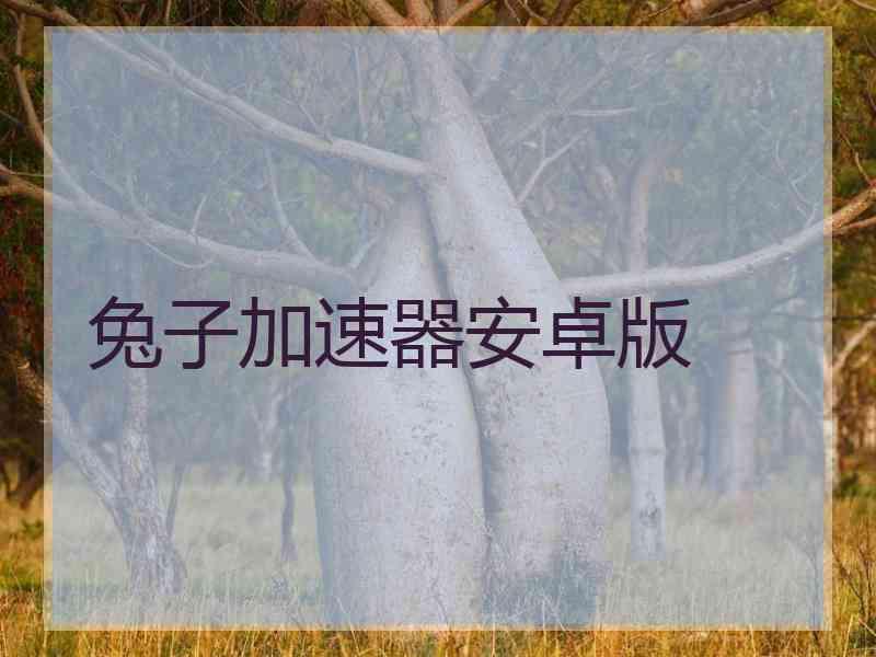 兔子加速器安卓版