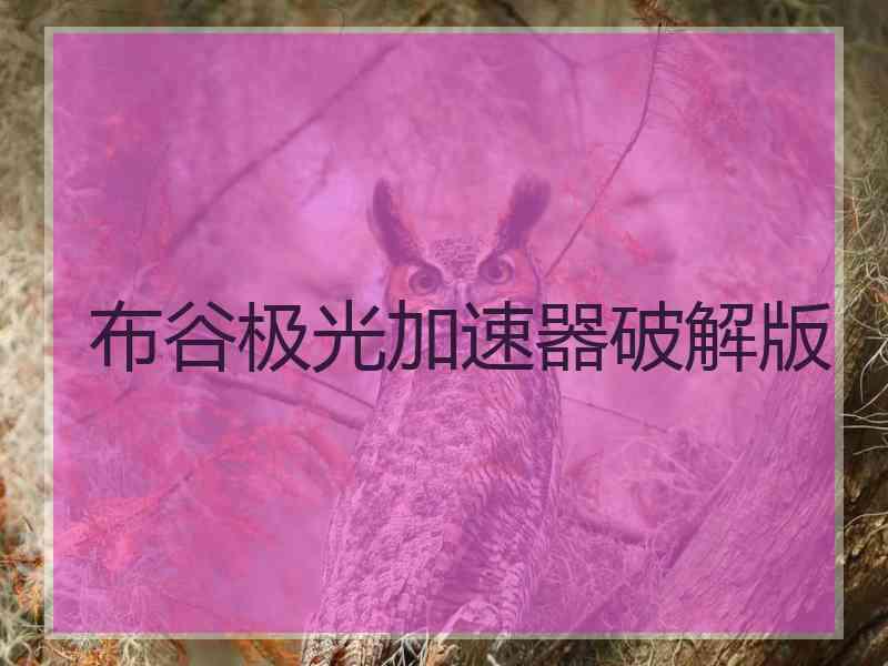 布谷极光加速器破解版