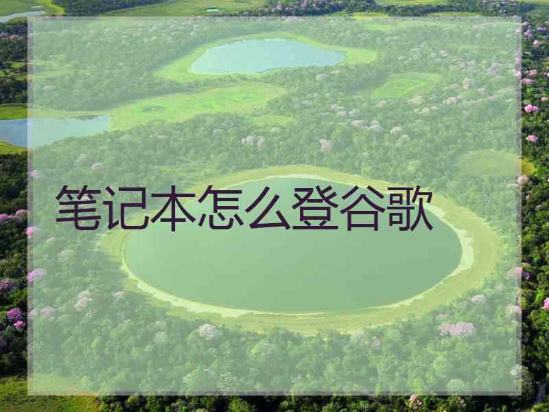 笔记本怎么登谷歌