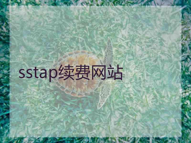 sstap续费网站