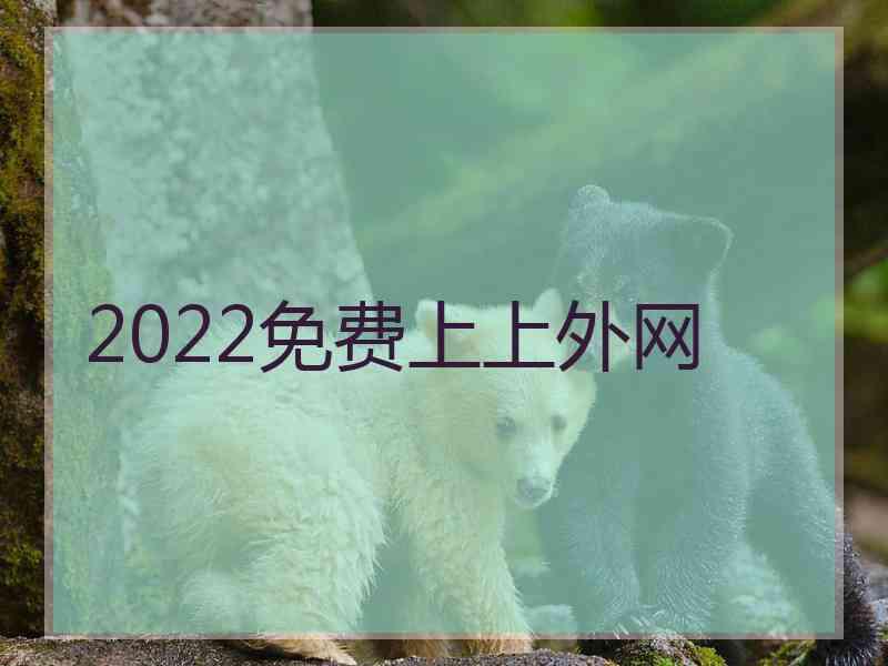 2022免费上上外网
