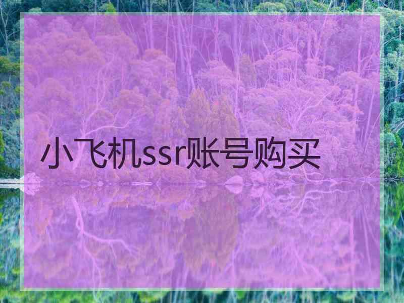 小飞机ssr账号购买
