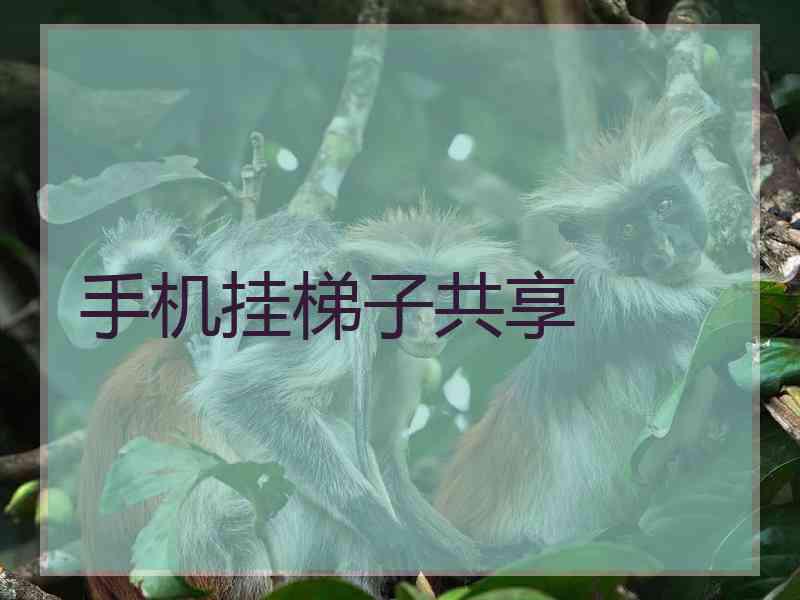 手机挂梯子共享