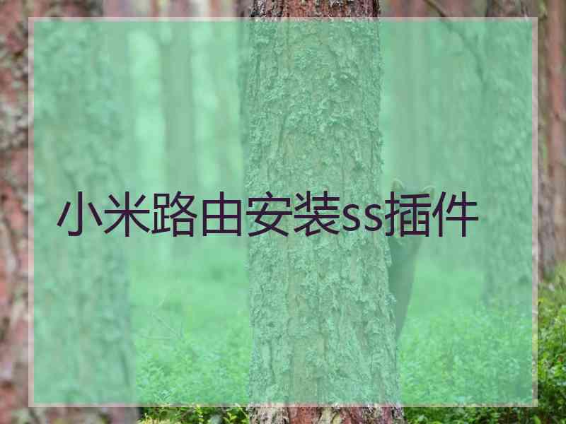 小米路由安装ss插件