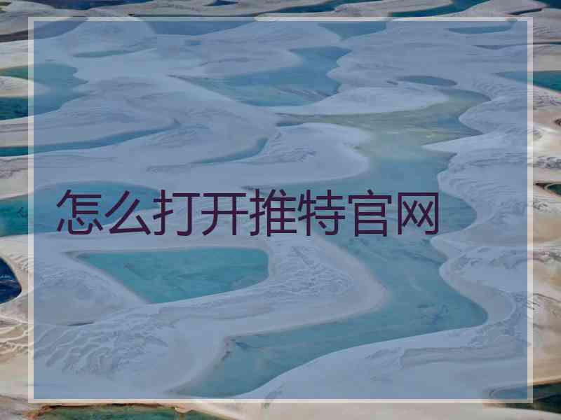 怎么打开推特官网