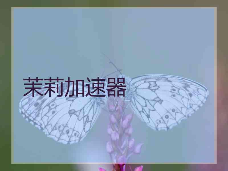 茉莉加速器
