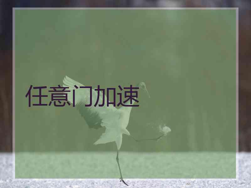 任意门加速