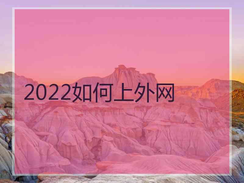 2022如何上外网