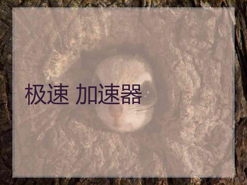极速 加速器