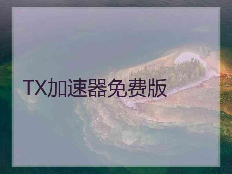 TX加速器免费版