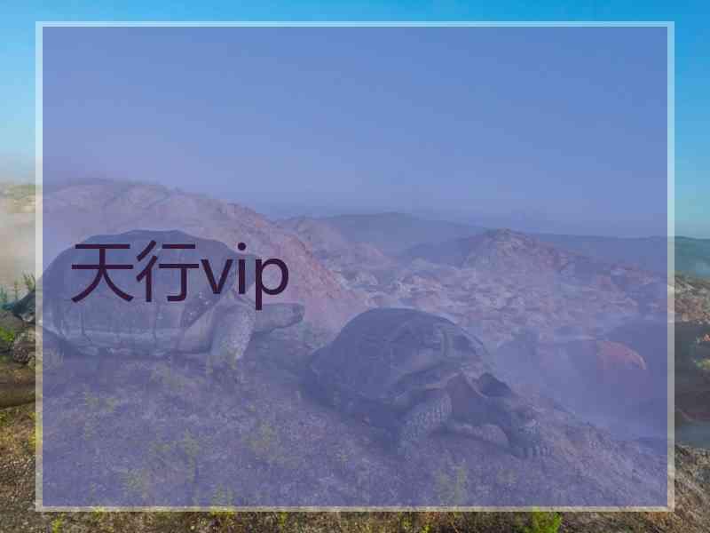 天行vip