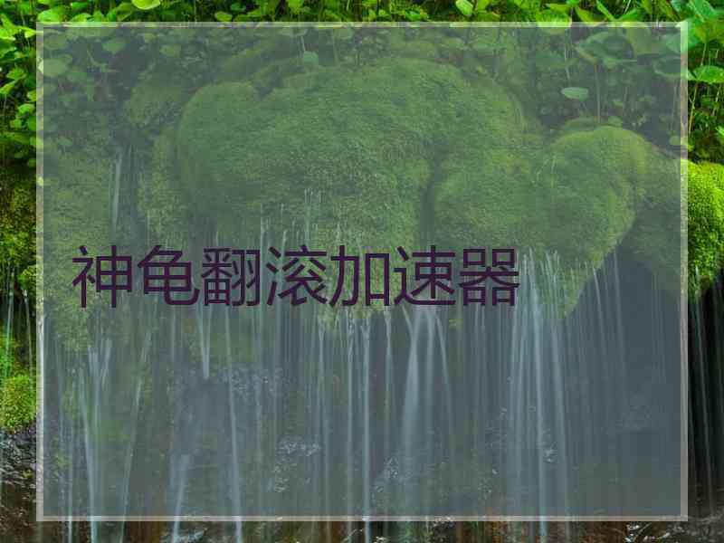 神龟翻滚加速器
