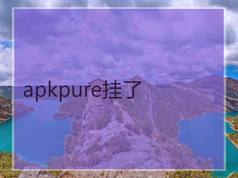 apkpure挂了