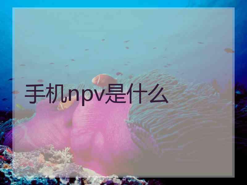 手机npv是什么