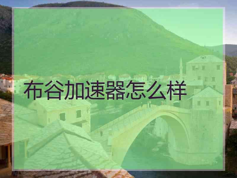 布谷加速器怎么样