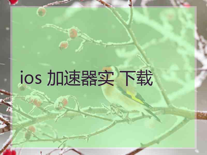 ios 加速器实 下载
