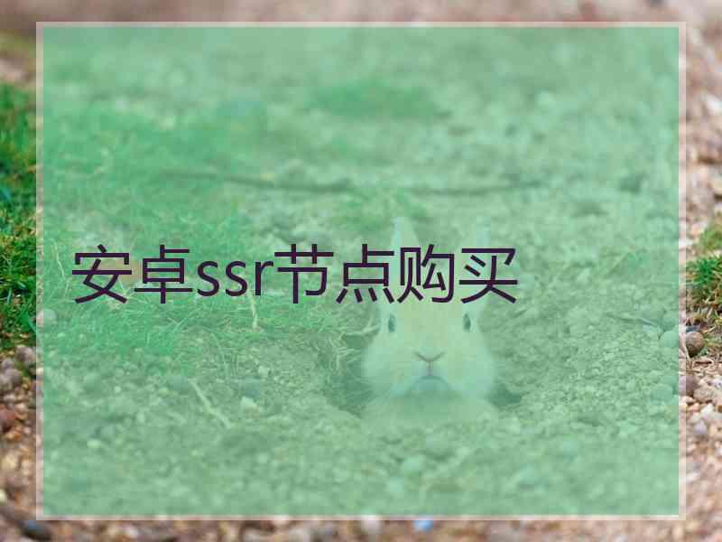 安卓ssr节点购买