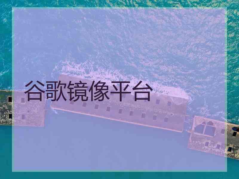 谷歌镜像平台