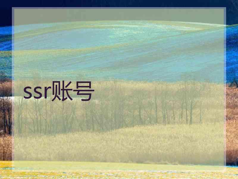 ssr账号