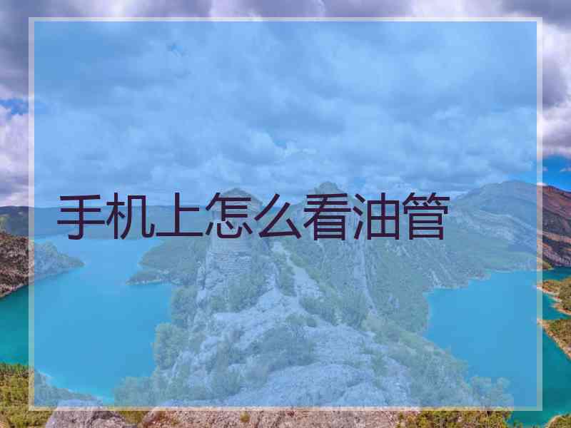 手机上怎么看油管