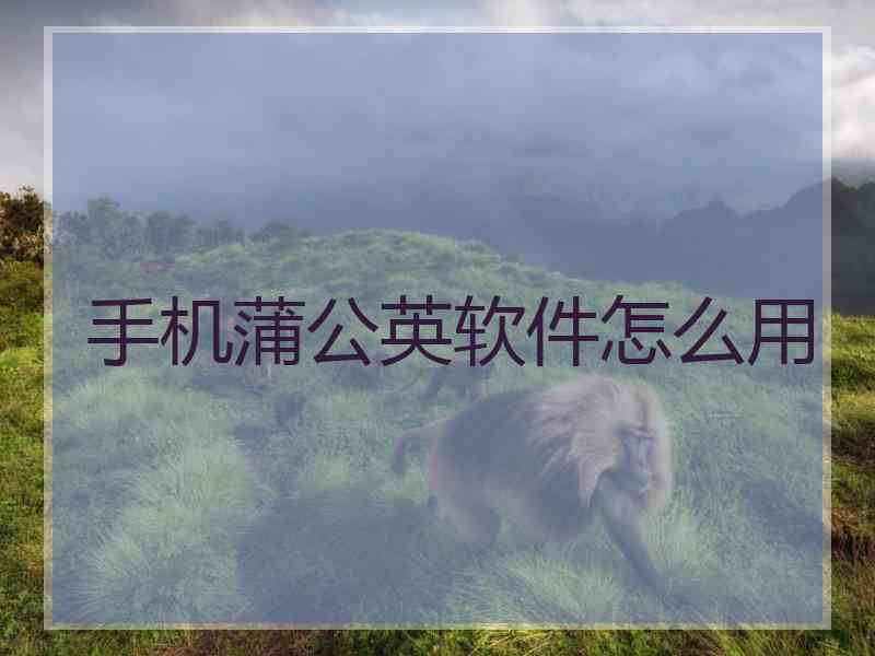 手机蒲公英软件怎么用