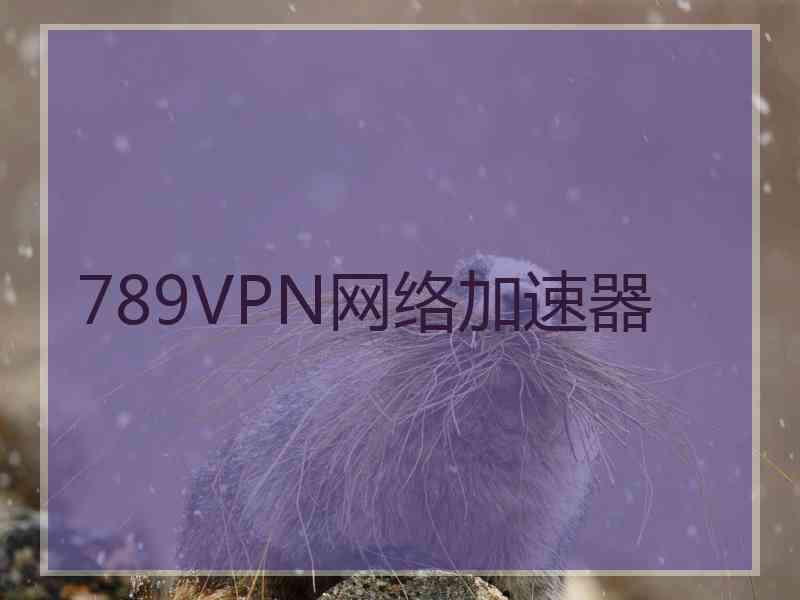 789VPN网络加速器