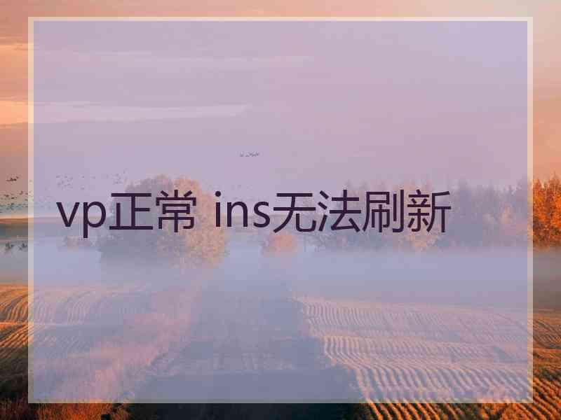 vp正常 ins无法刷新