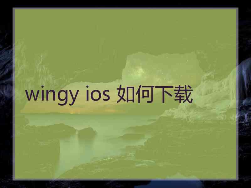 wingy ios 如何下载