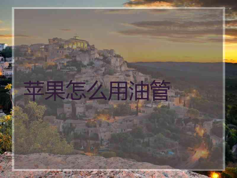 苹果怎么用油管