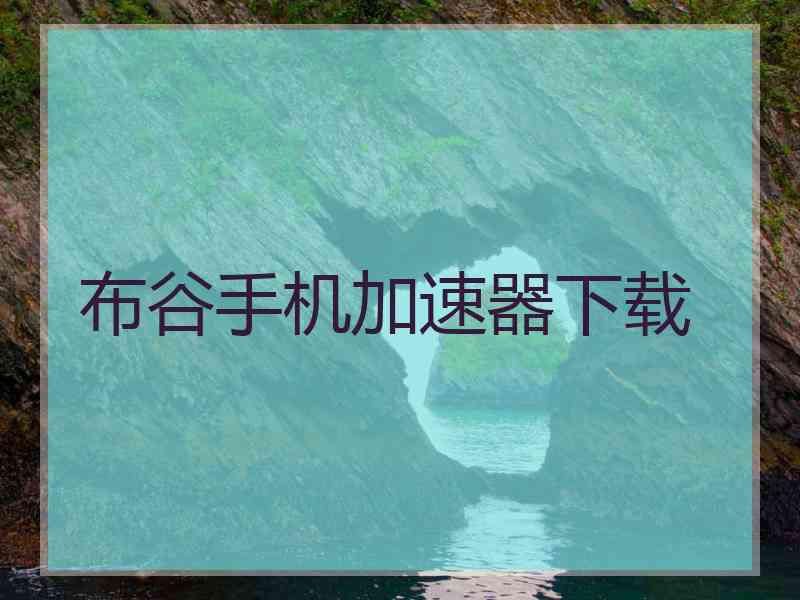 布谷手机加速器下载