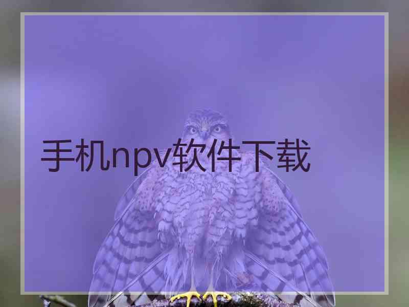手机npv软件下载