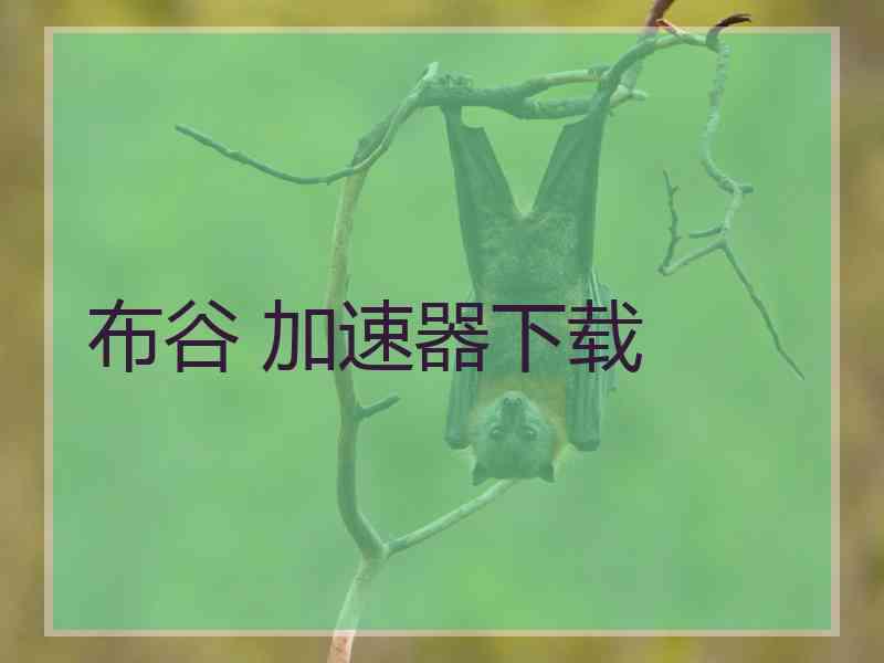 布谷 加速器下载