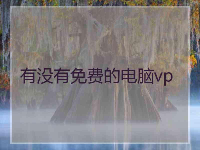 有没有免费的电脑vp