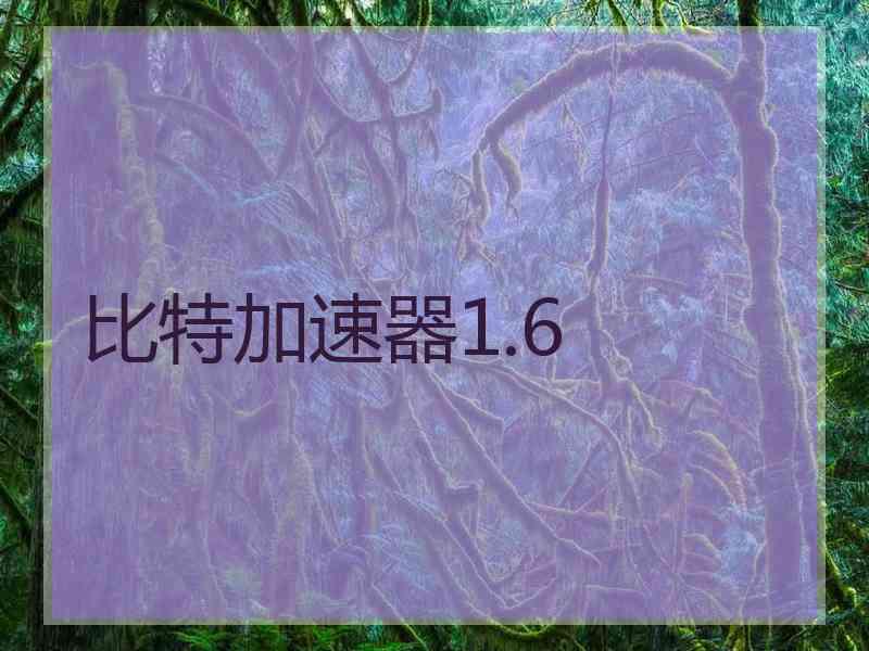 比特加速器1.6