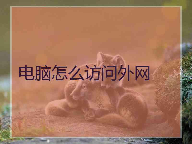 电脑怎么访问外网