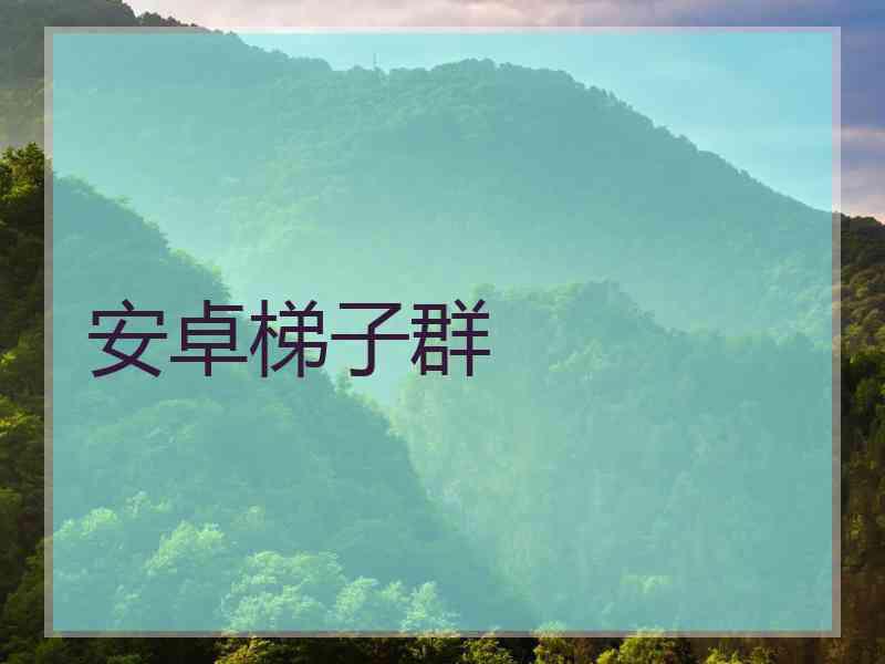 安卓梯子群