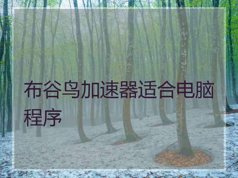 布谷鸟加速器适合电脑程序