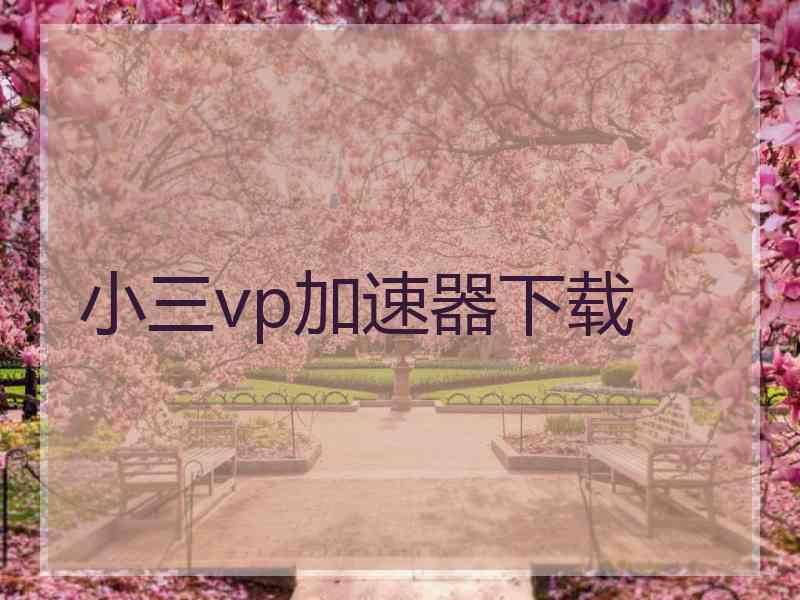 小三vp加速器下载