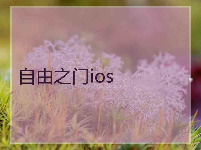 自由之门ios