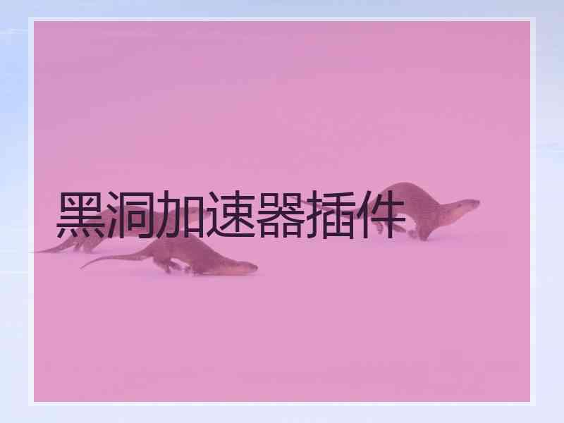 黑洞加速器插件