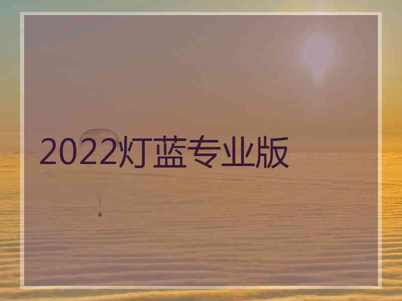 2022灯蓝专业版