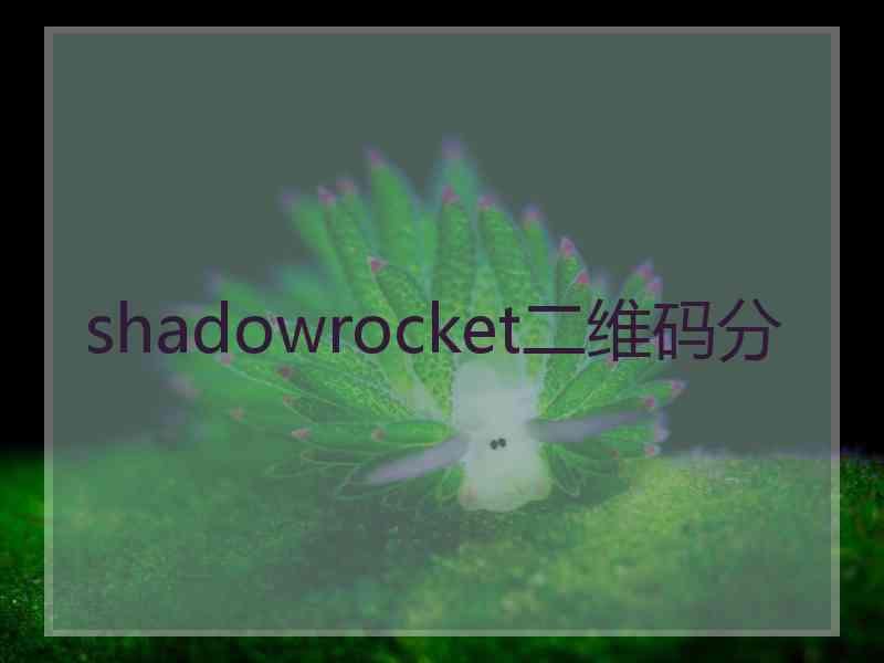 shadowrocket二维码分