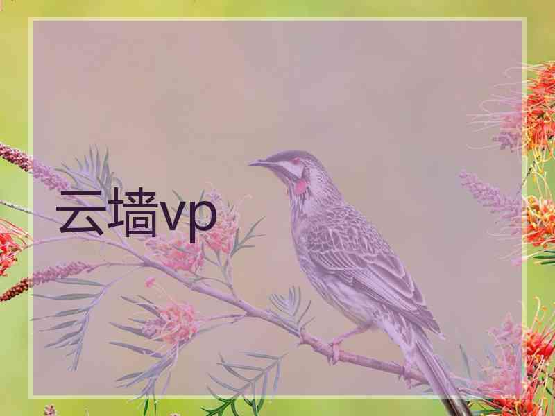 云墙vp