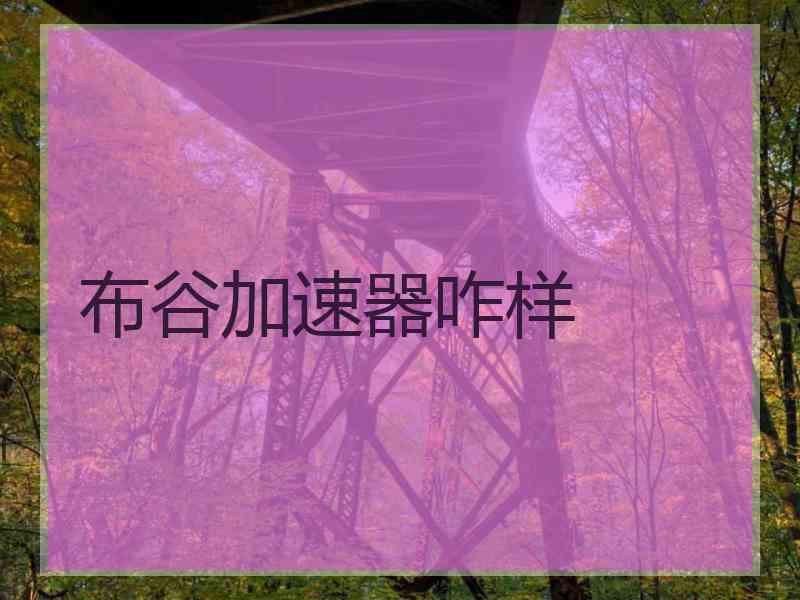 布谷加速器咋样
