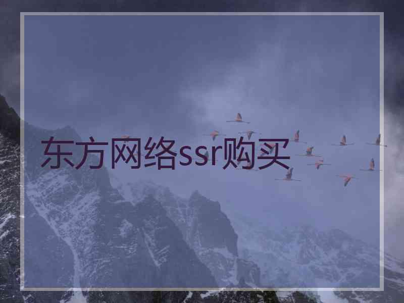 东方网络ssr购买