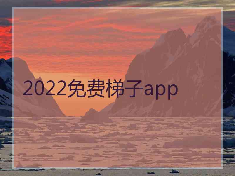 2022免费梯子app
